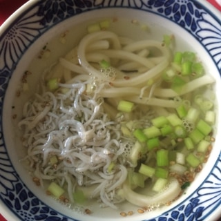 冷凍うどんとお茶漬けの素で！しらすうどん